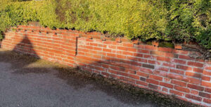 Dentilated panel wall